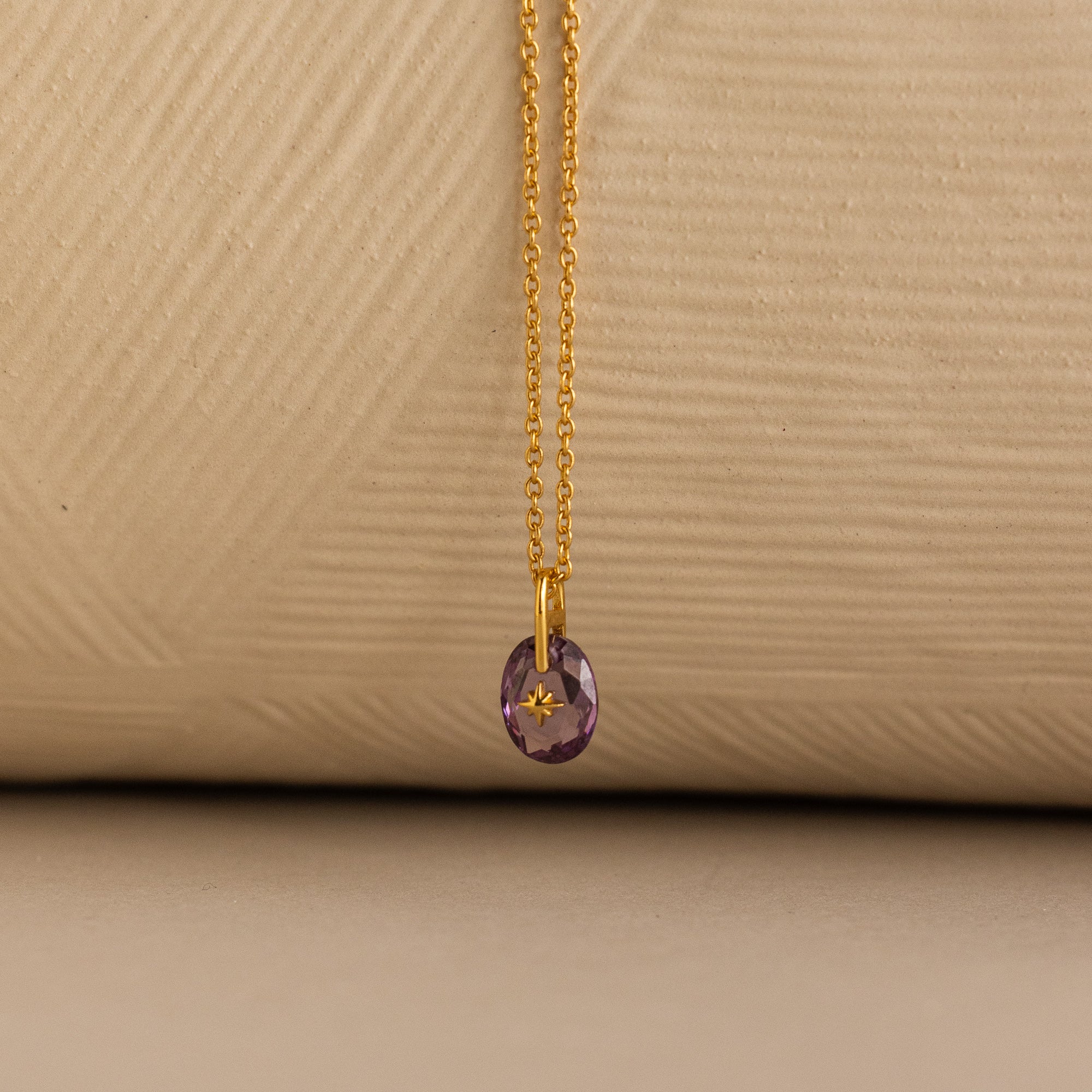 North Star Birthstone Signet Necklace in Amethyst