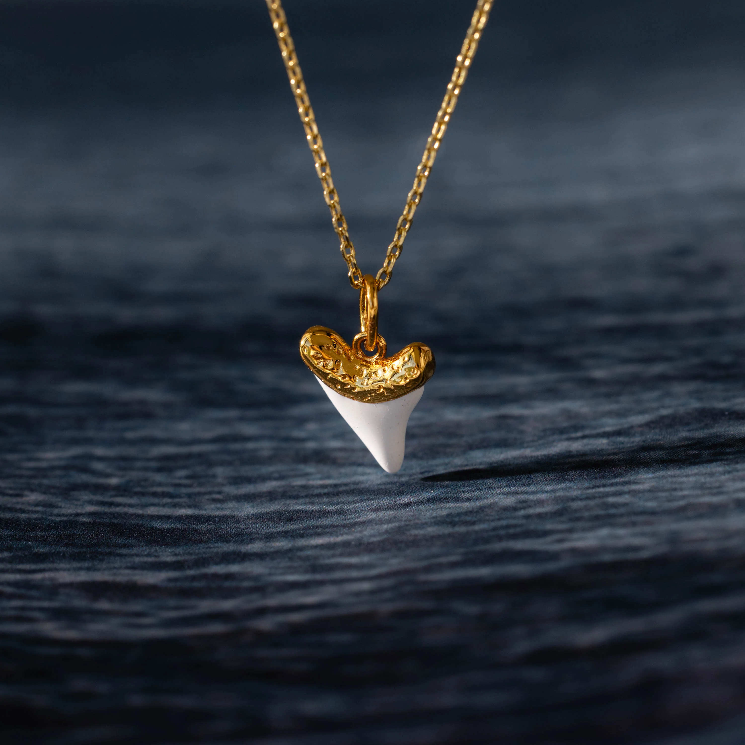 White Shark Tooth Charm in 18K Gold - Image 5